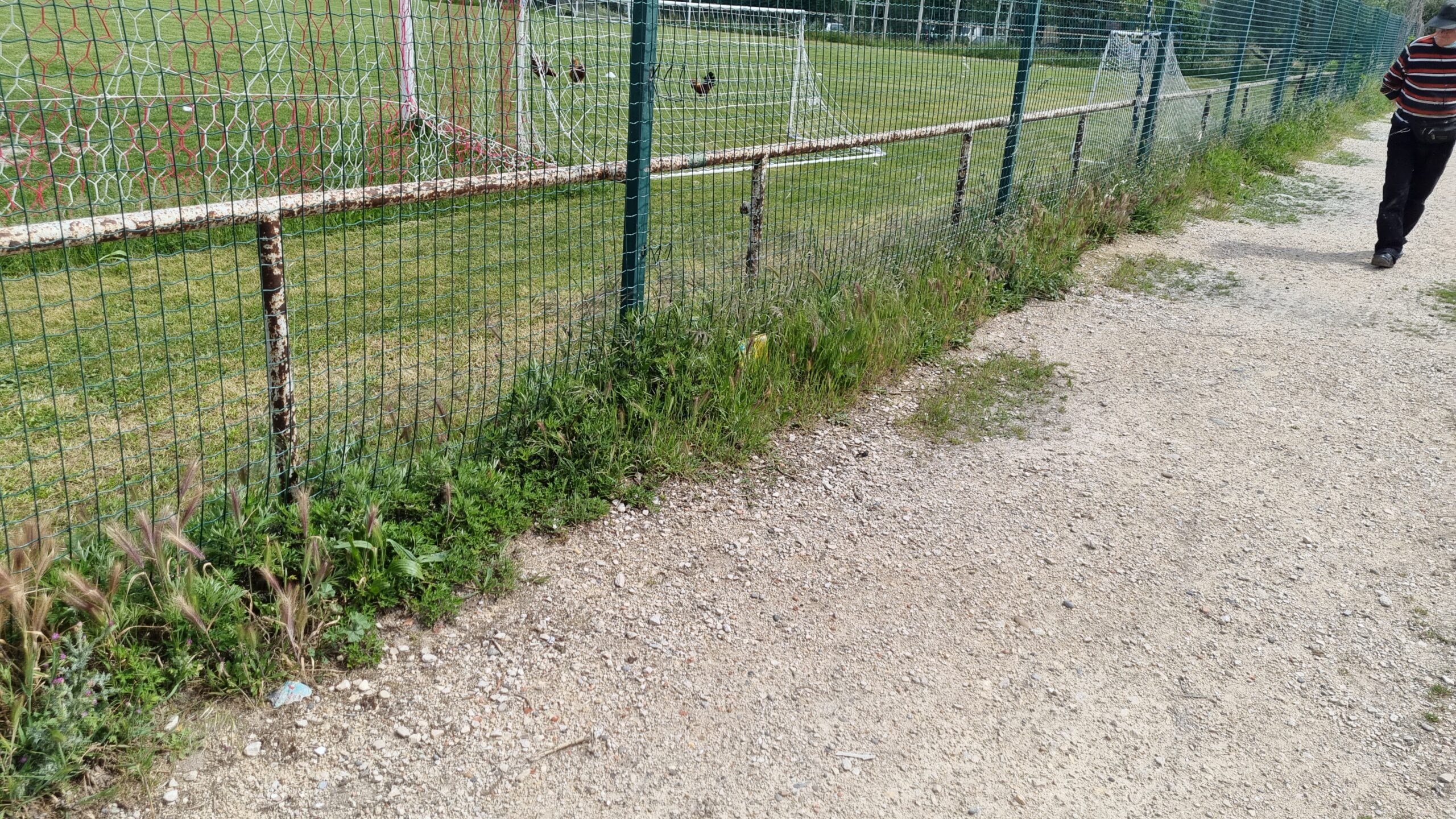 Terrain avant intervention