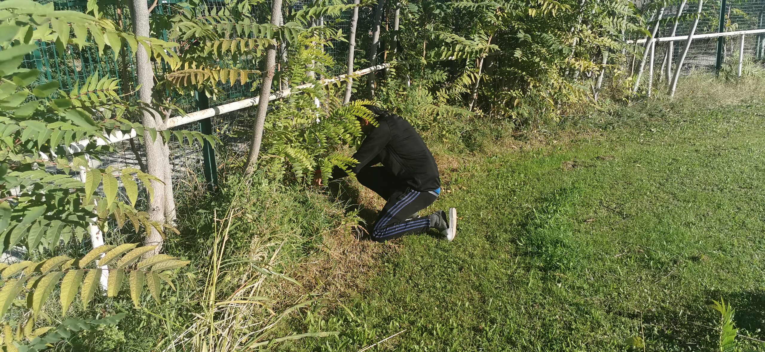 Travail bénévole dans les espaces verts